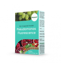 Katyayani Pseudomonas Fluorescence - Bio Fungicide 1 Kg